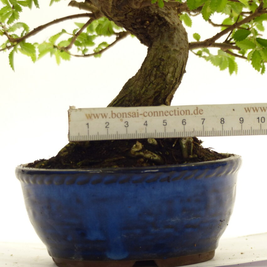 119 G