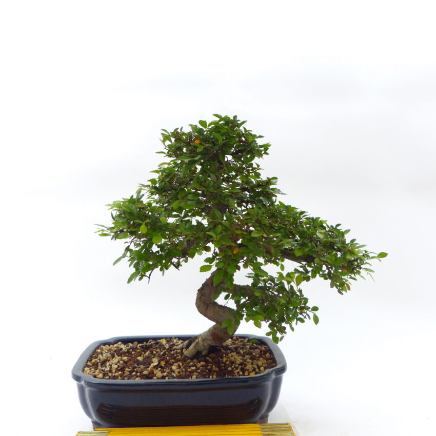 130I