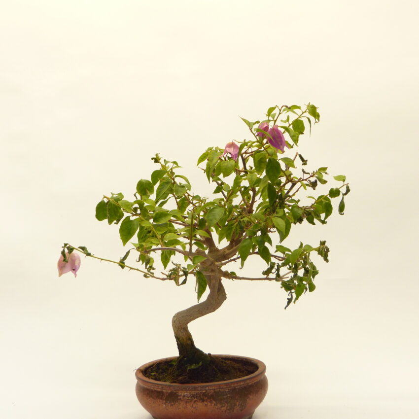 0673 G (2)
