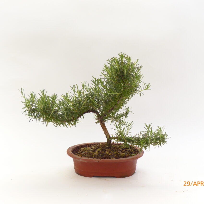 21 E